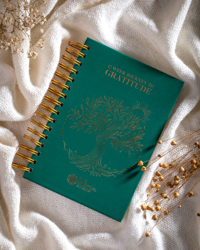 Gratitude journal