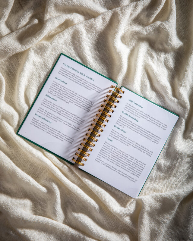 gratitude journal book
