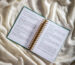 gratitude journal book